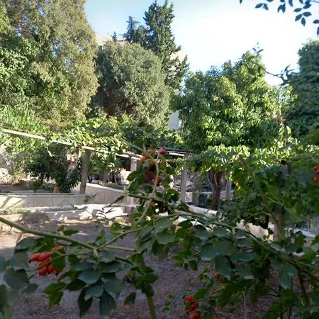 Appartamento Stone Oasis Vito Ragusa