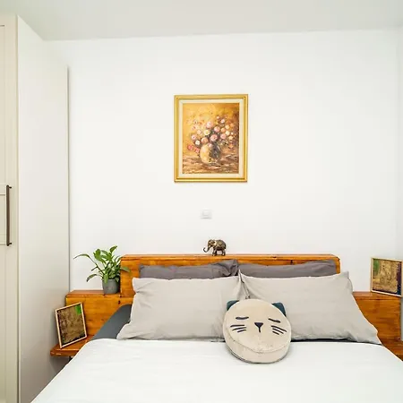 Stone Oasis Vito *