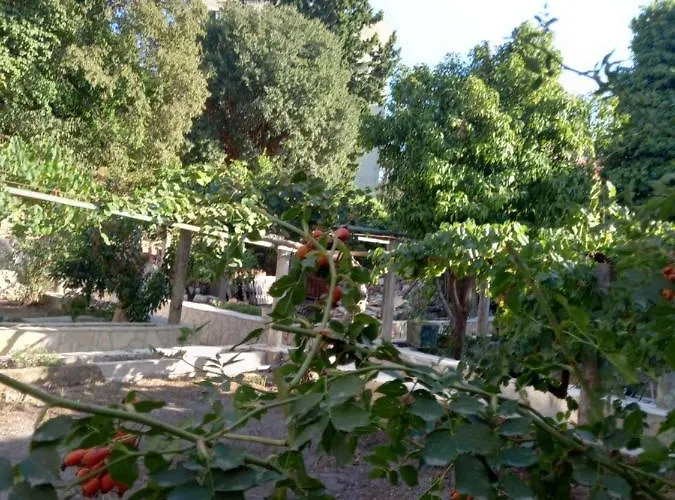 Apartament Stone Oasis Vito Dubrownik