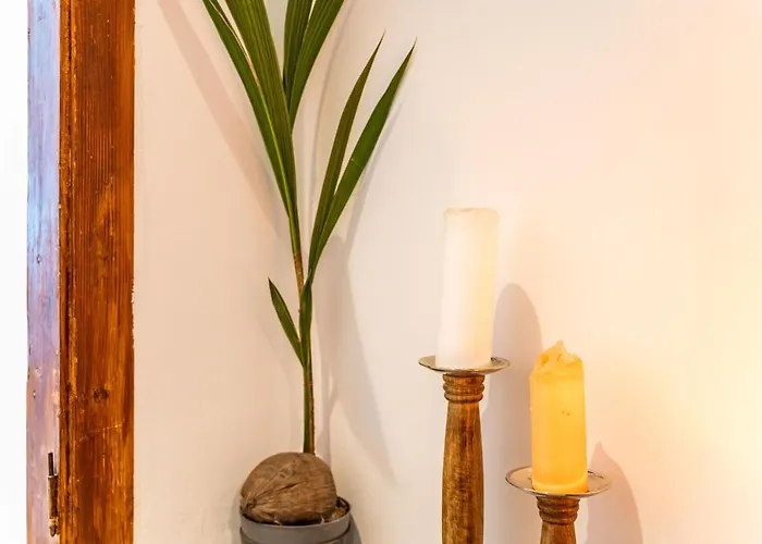 Appartement Stone Oasis Vito