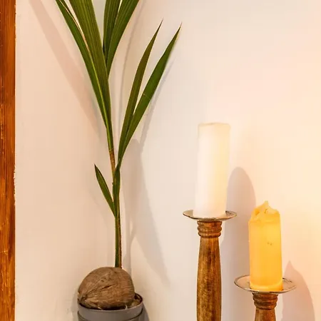 Appartement Stone Oasis Vito