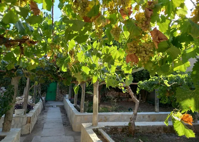 Appartement Stone Oasis Vito *